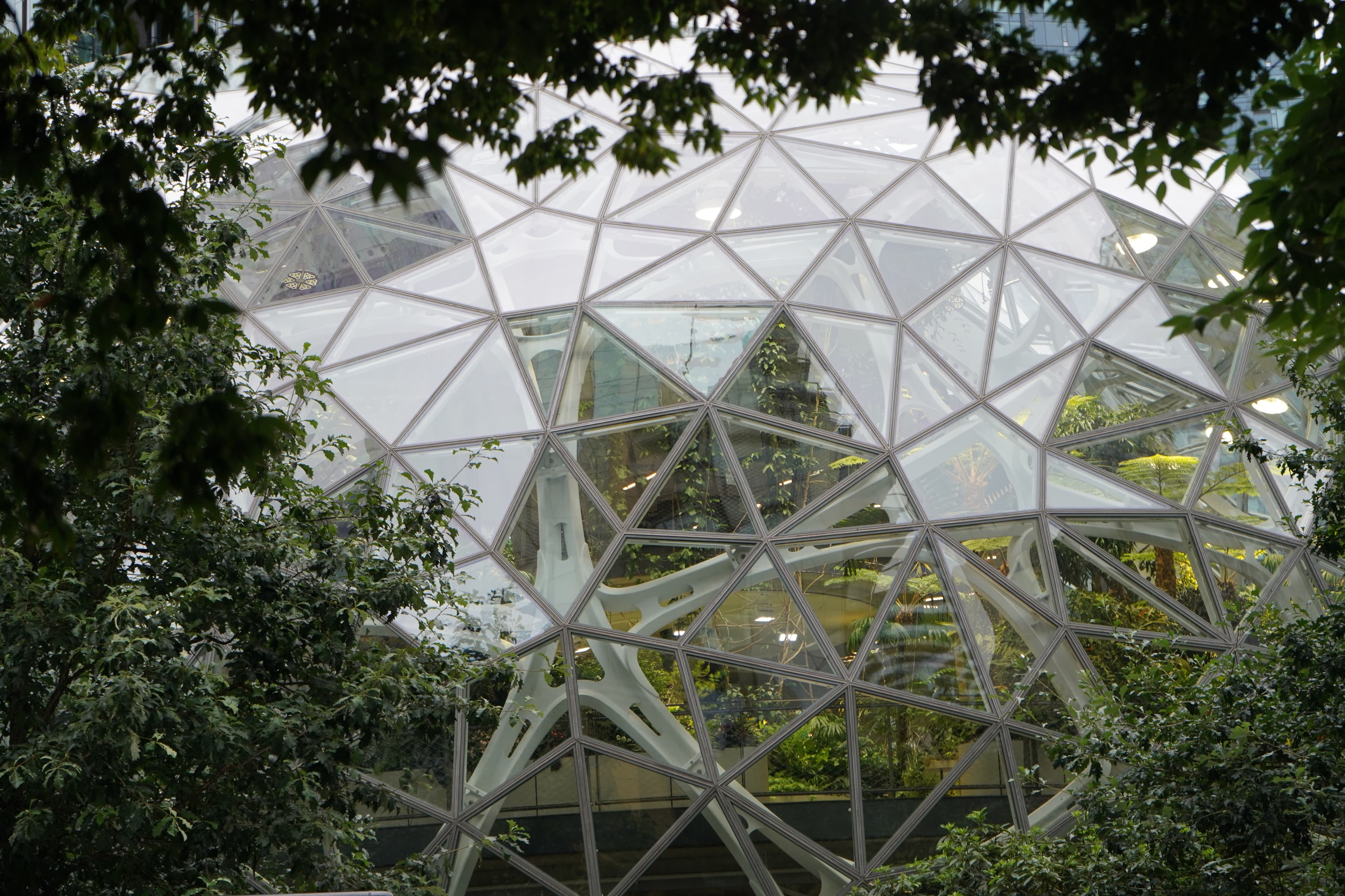 Seattle landscape